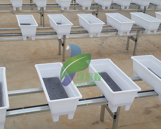 無土栽培大棚如何搭建才能順應現代農業的發展